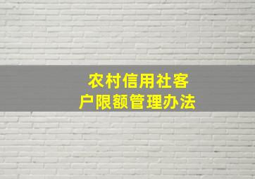 农村信用社客户限额管理办法