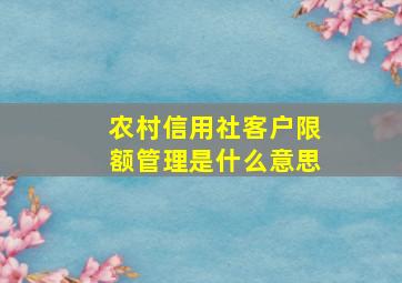 农村信用社客户限额管理是什么意思