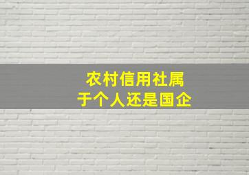 农村信用社属于个人还是国企