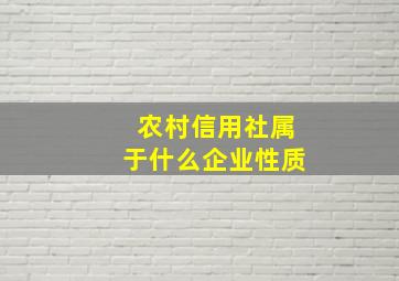 农村信用社属于什么企业性质