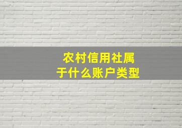 农村信用社属于什么账户类型