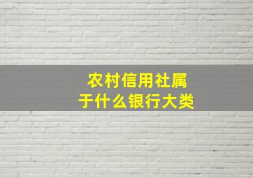 农村信用社属于什么银行大类