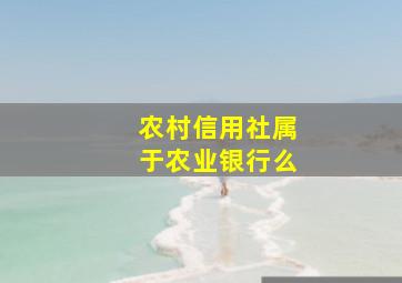 农村信用社属于农业银行么