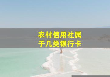 农村信用社属于几类银行卡