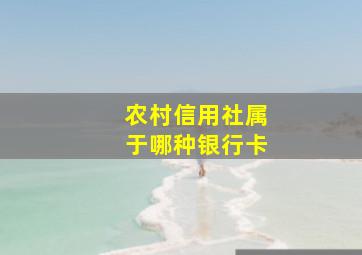 农村信用社属于哪种银行卡