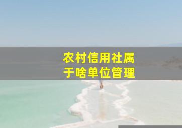 农村信用社属于啥单位管理