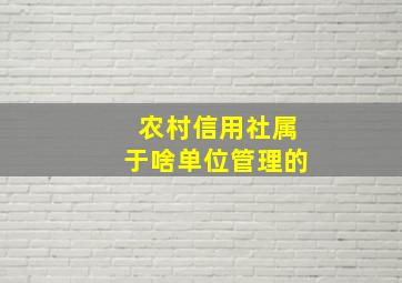 农村信用社属于啥单位管理的