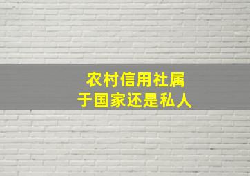 农村信用社属于国家还是私人