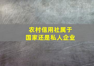 农村信用社属于国家还是私人企业