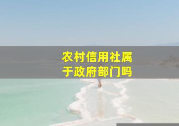 农村信用社属于政府部门吗