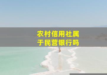 农村信用社属于民营银行吗