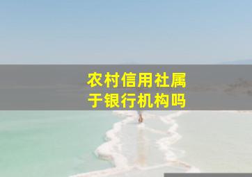 农村信用社属于银行机构吗