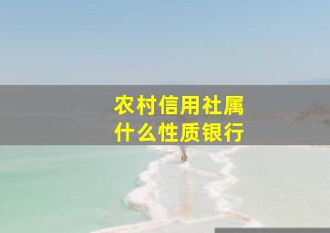 农村信用社属什么性质银行