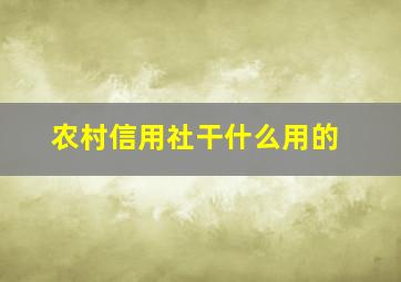 农村信用社干什么用的