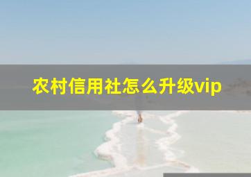 农村信用社怎么升级vip