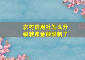 农村信用社怎么升级转账金额限制了