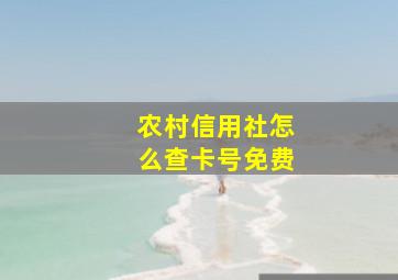 农村信用社怎么查卡号免费