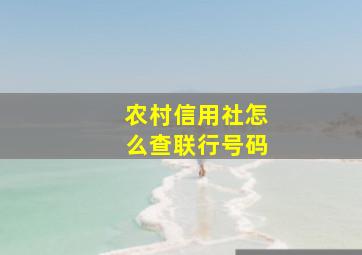 农村信用社怎么查联行号码