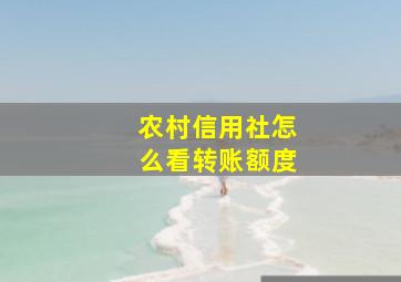 农村信用社怎么看转账额度