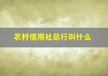 农村信用社总行叫什么