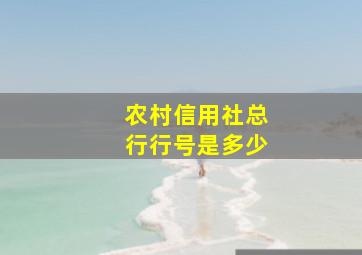 农村信用社总行行号是多少