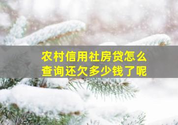 农村信用社房贷怎么查询还欠多少钱了呢