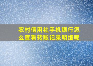 农村信用社手机银行怎么查看转账记录明细呢