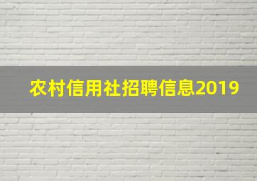 农村信用社招聘信息2019