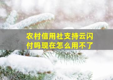 农村信用社支持云闪付吗现在怎么用不了