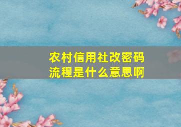 农村信用社改密码流程是什么意思啊