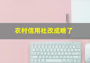 农村信用社改成啥了