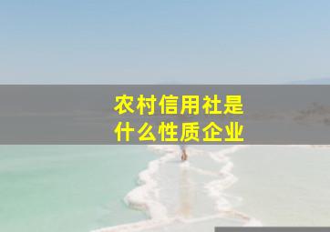 农村信用社是什么性质企业