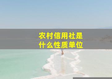 农村信用社是什么性质单位