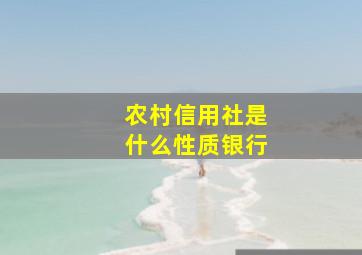 农村信用社是什么性质银行