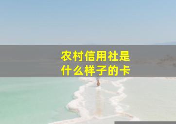 农村信用社是什么样子的卡