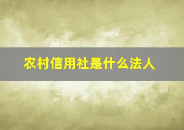 农村信用社是什么法人