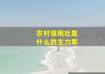 农村信用社是什么的主力军