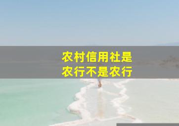 农村信用社是农行不是农行