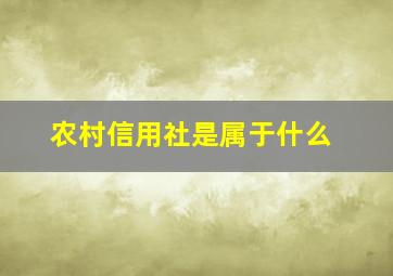 农村信用社是属于什么