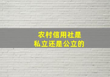 农村信用社是私立还是公立的