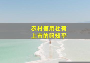 农村信用社有上市的吗知乎