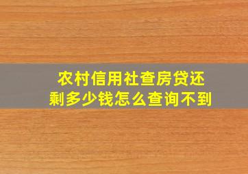 农村信用社查房贷还剩多少钱怎么查询不到