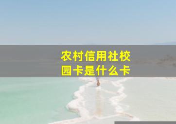 农村信用社校园卡是什么卡