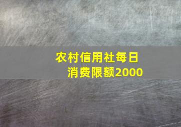 农村信用社每日消费限额2000