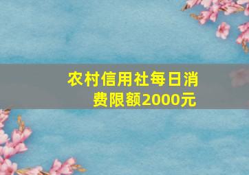 农村信用社每日消费限额2000元