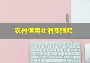 农村信用社消费限额