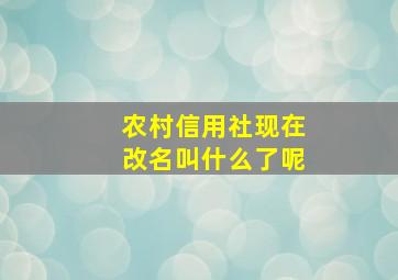 农村信用社现在改名叫什么了呢