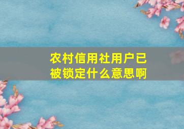 农村信用社用户已被锁定什么意思啊