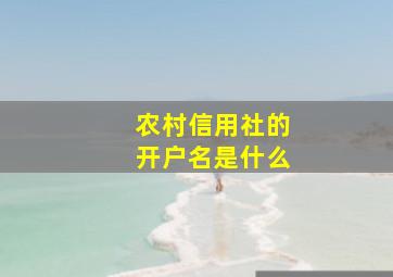 农村信用社的开户名是什么