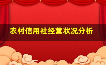 农村信用社经营状况分析